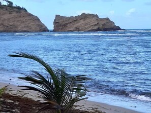 Una playa con formaciones rocosas y palmeras.