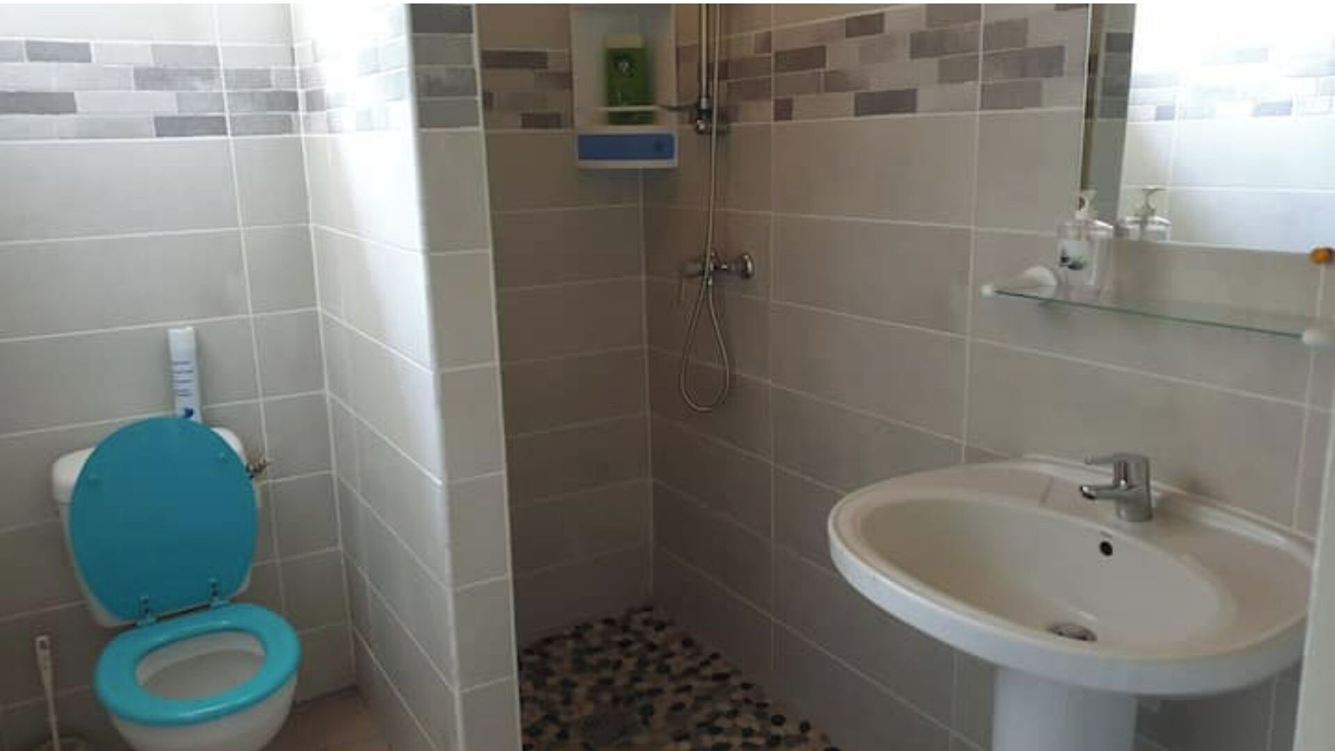 Un baño con inodoro, ducha y lavamanos.