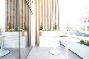 A modern indoor space with glass partitions, white furniture, and cacti.