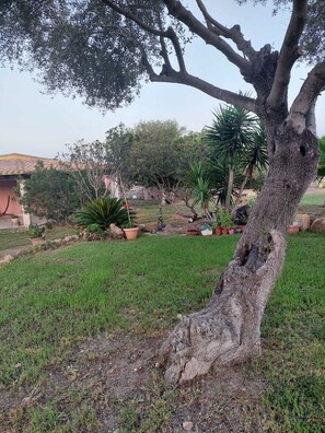 Parco della struttura