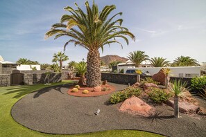 Surrounded by lush landscaping, a large palm tree stands in a circular gravel area, bordered by a neatly trimmed lawn.