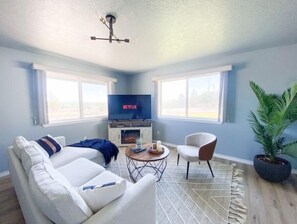 Smart TV, fireplace, books