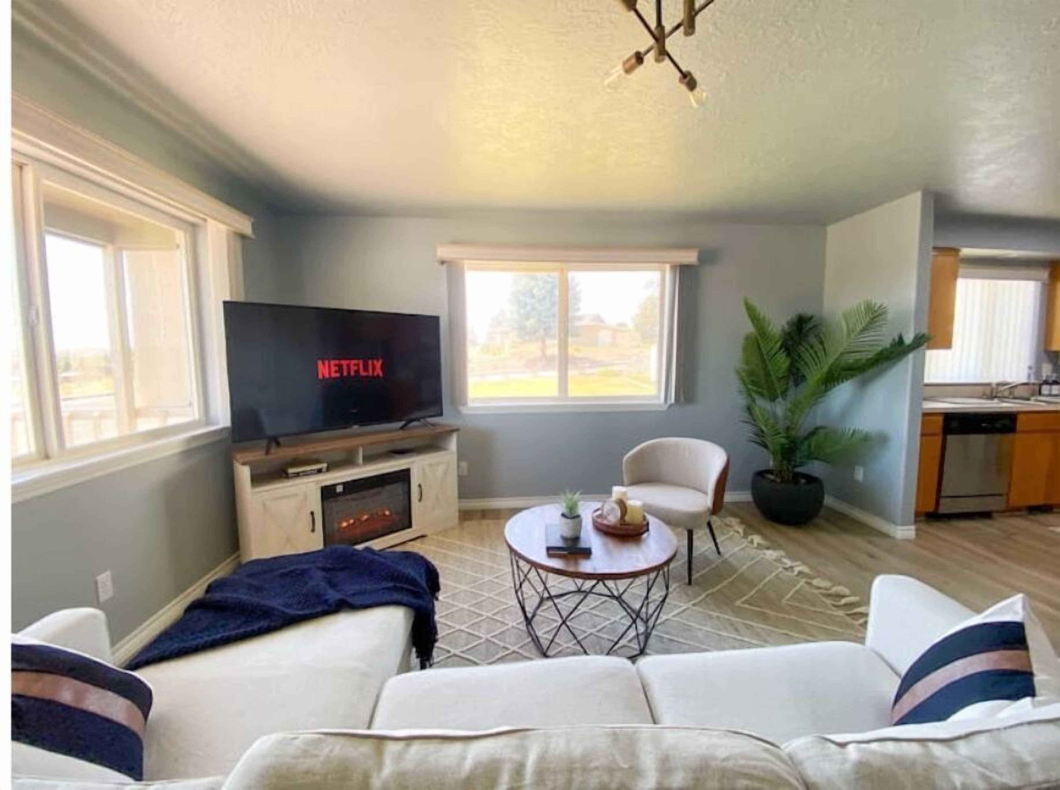 Smart TV, fireplace, books