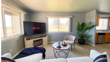 Smart TV, fireplace, books