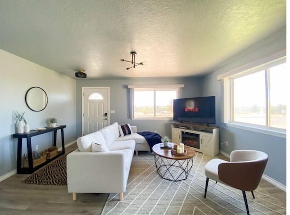 Smart TV, fireplace, books
