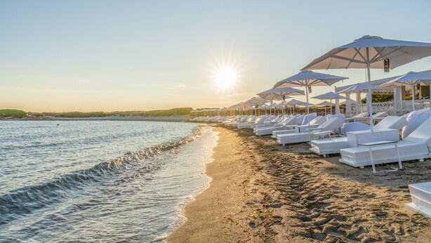 A beach with sun umbrellas and lounge chairs arranged along the shoreline.