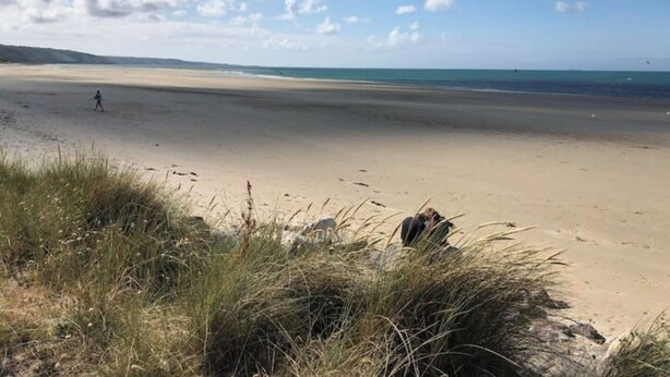 A beach with sand and sparse vegetation in the foreground.