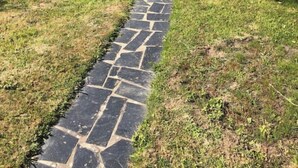 A stone pathway leading to a house with a grey exterior.