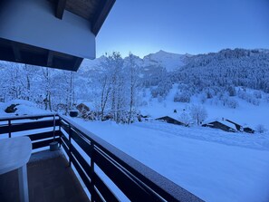 Property grounds - Reposire, apartment 8 - 5 pers. directly south (La Clusaz)