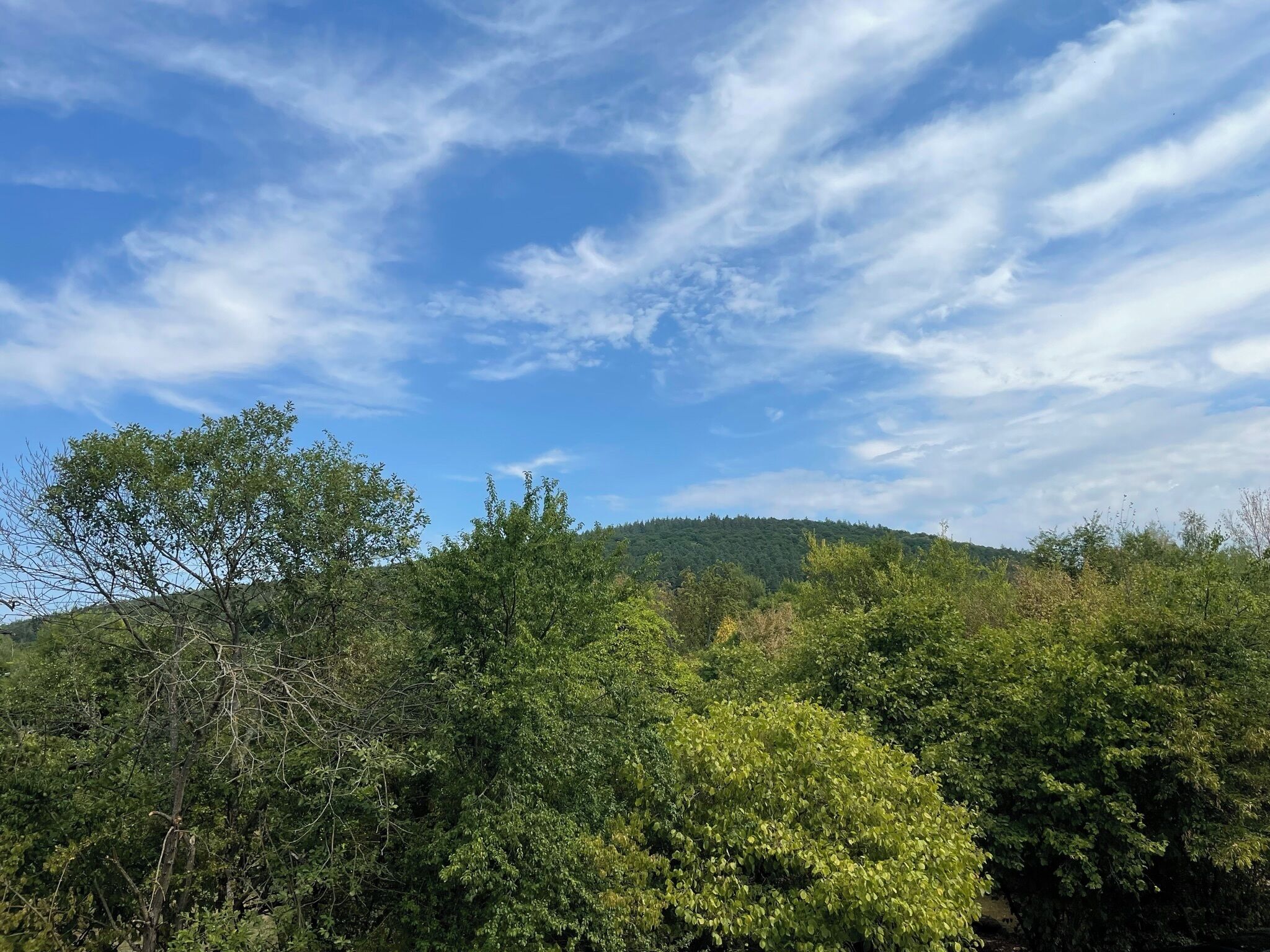 Superior-rum | Utsikt från rummet