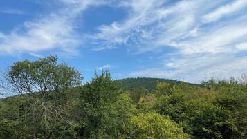 Superior-herbergi | Útsýni úr herberginu