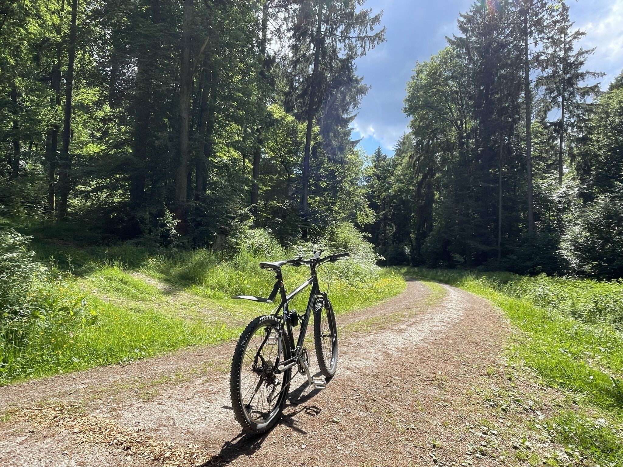 A bicycle parked on a gravel path surrounded by dense forest.