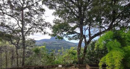 Casa Ortmann - Suite with Mountain View