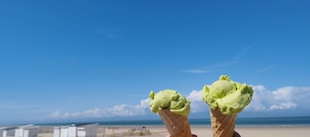 Le Verlaine - appt charmant cosy idéalement situé