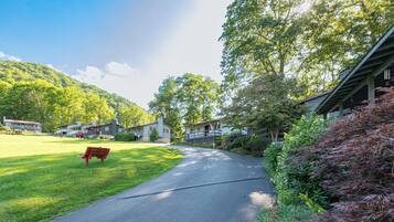 Área da propriedade