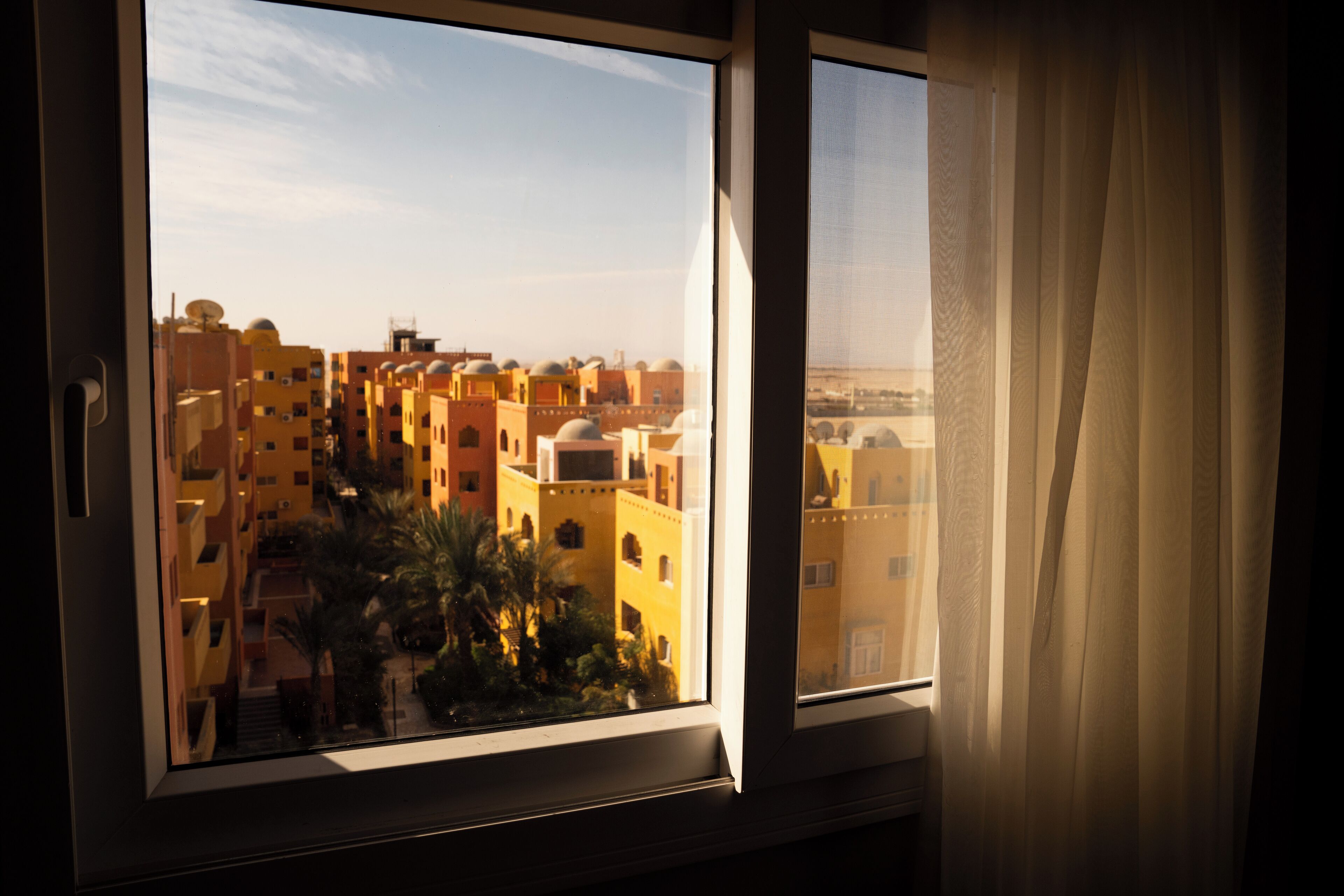 A window with a view of a cityscape, including buildings and palm trees.