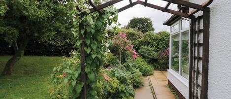 Un jardin agrémenté d’une tonnelle en bois, d’un sentier et d’un bâtiment blanc doté d’une fenêtre.