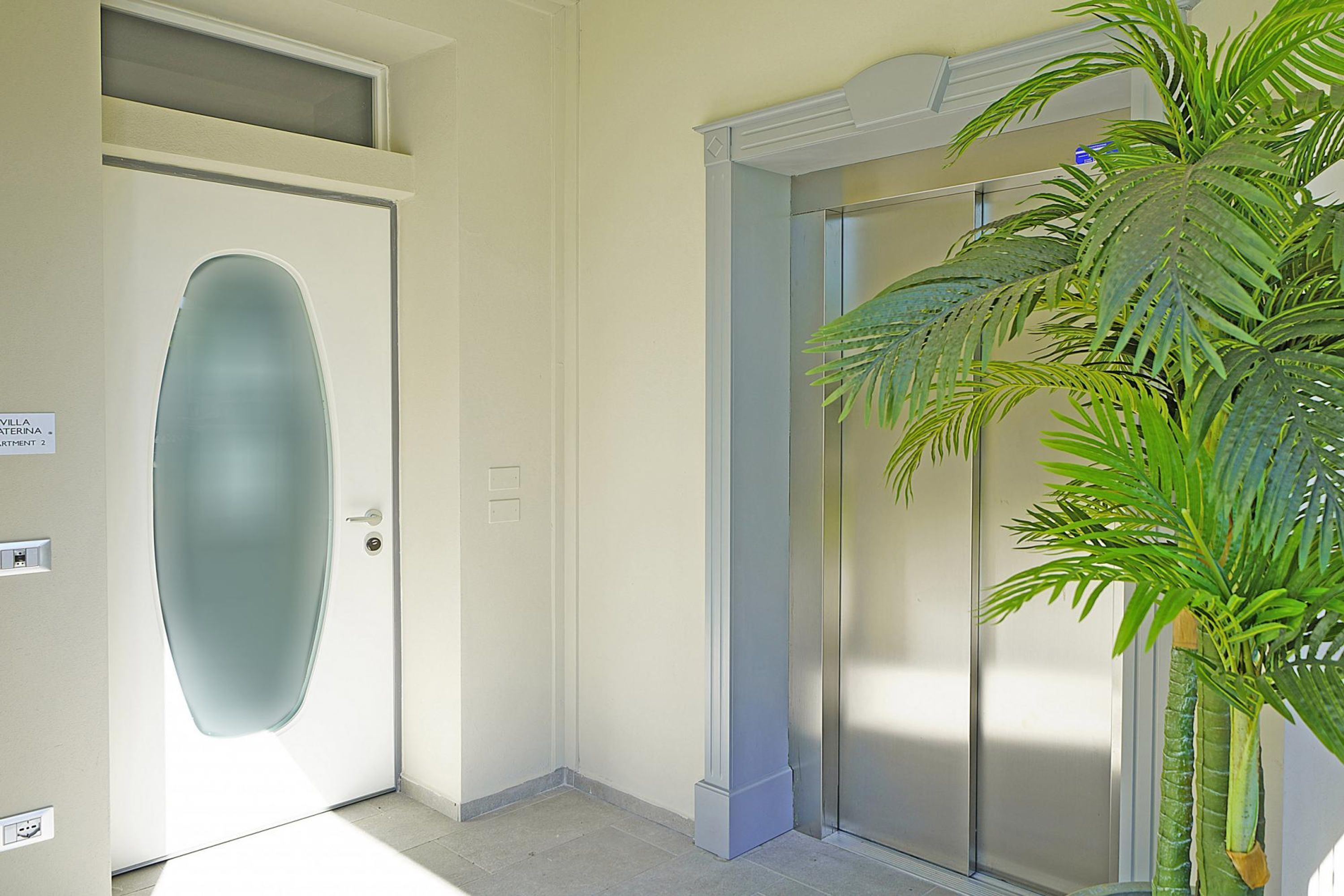 A hallway with a frosted glass door, a wall-mounted light switch, and a potted palm plant.