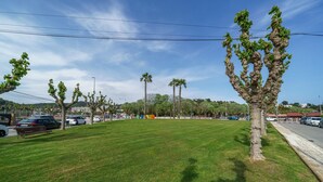 Un parco con un prato curato, palme e una strada con auto parcheggiate.