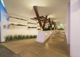 A corridor with wooden flooring, white walls, and green plants in planters.