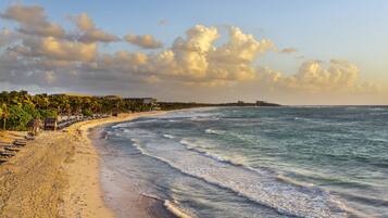 A beach with a sandy shore, palm trees, and a distant view of a peninsula.