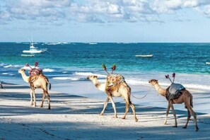 Playa
