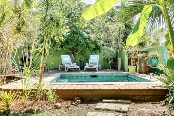 A swimming pool with two lounge chairs, surrounded by tropical plants and a green wall.