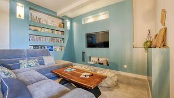 TV, video games, DVD player, books