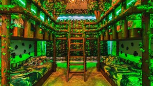 A room with a wooden ladder leading to a higher level, surrounded by walls covered in foliage. - Solara Resort 6br Jurassic Pool Spa Villa Disney (Kissimmee)