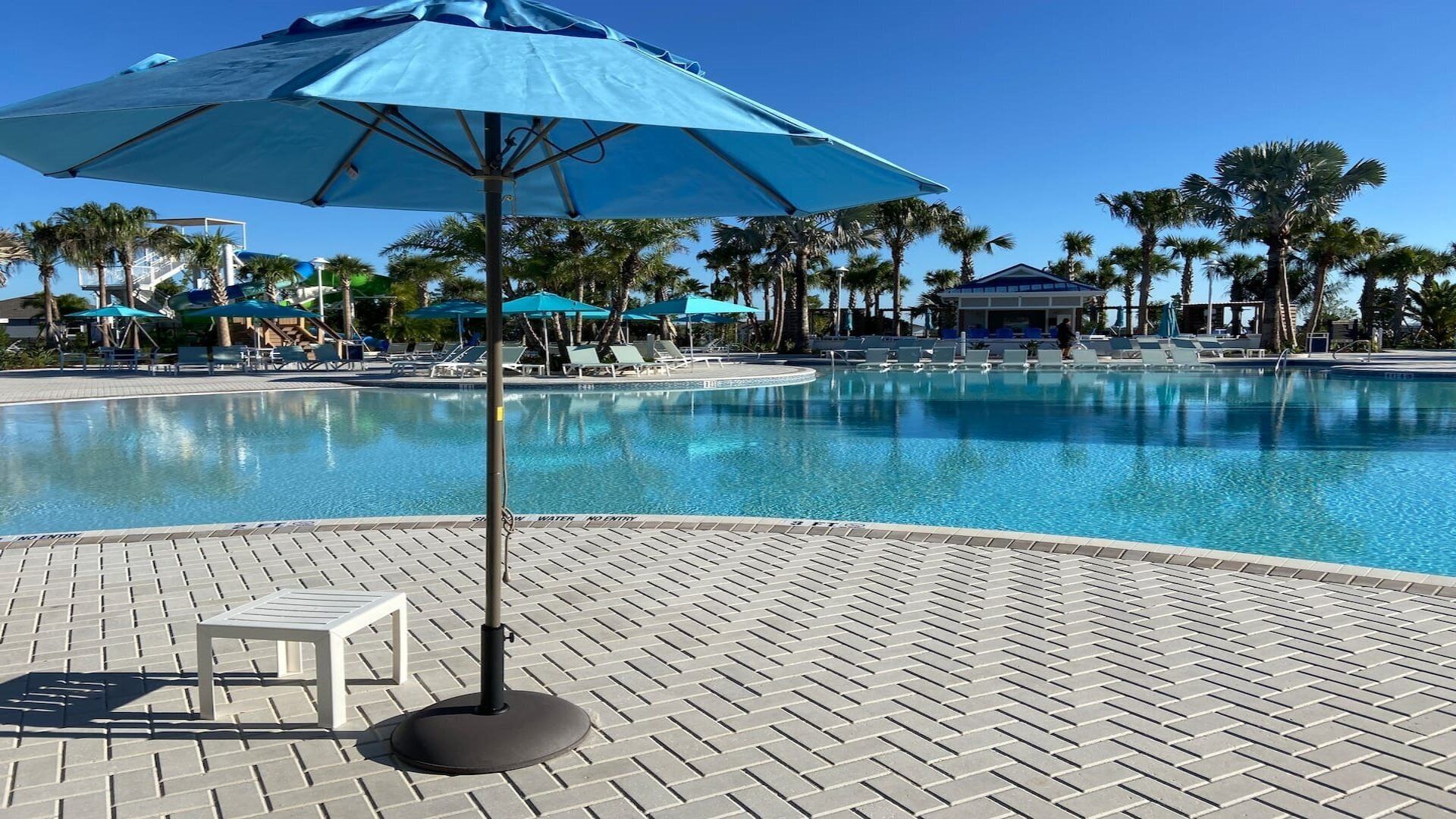 A swimming pool with lounge chairs and umbrellas, surrounded by palm trees and a brick patio.