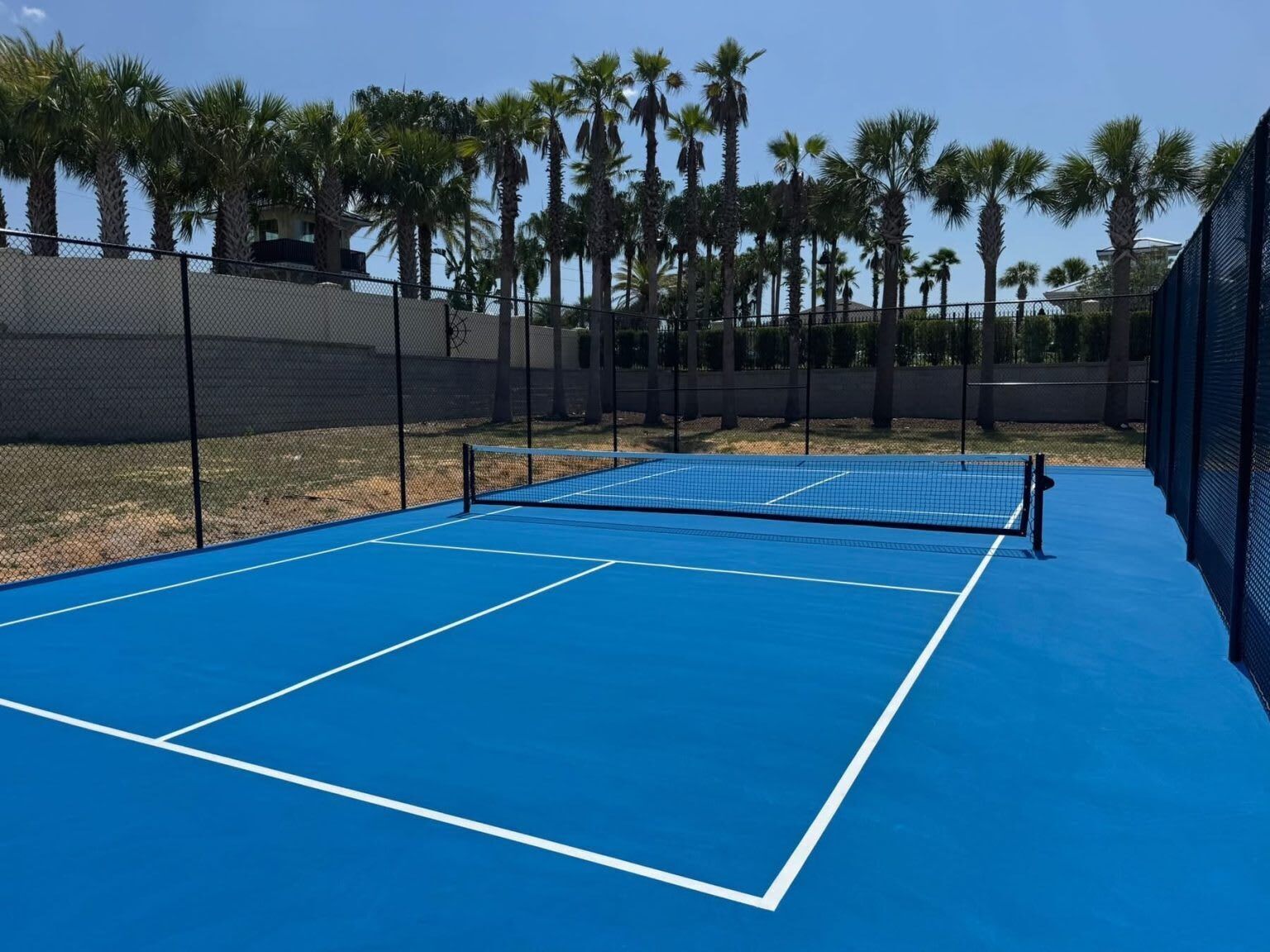 Ein blauer Tennisplatz mit Netz, umgeben von einem Maschendrahtzaun und Palmen.