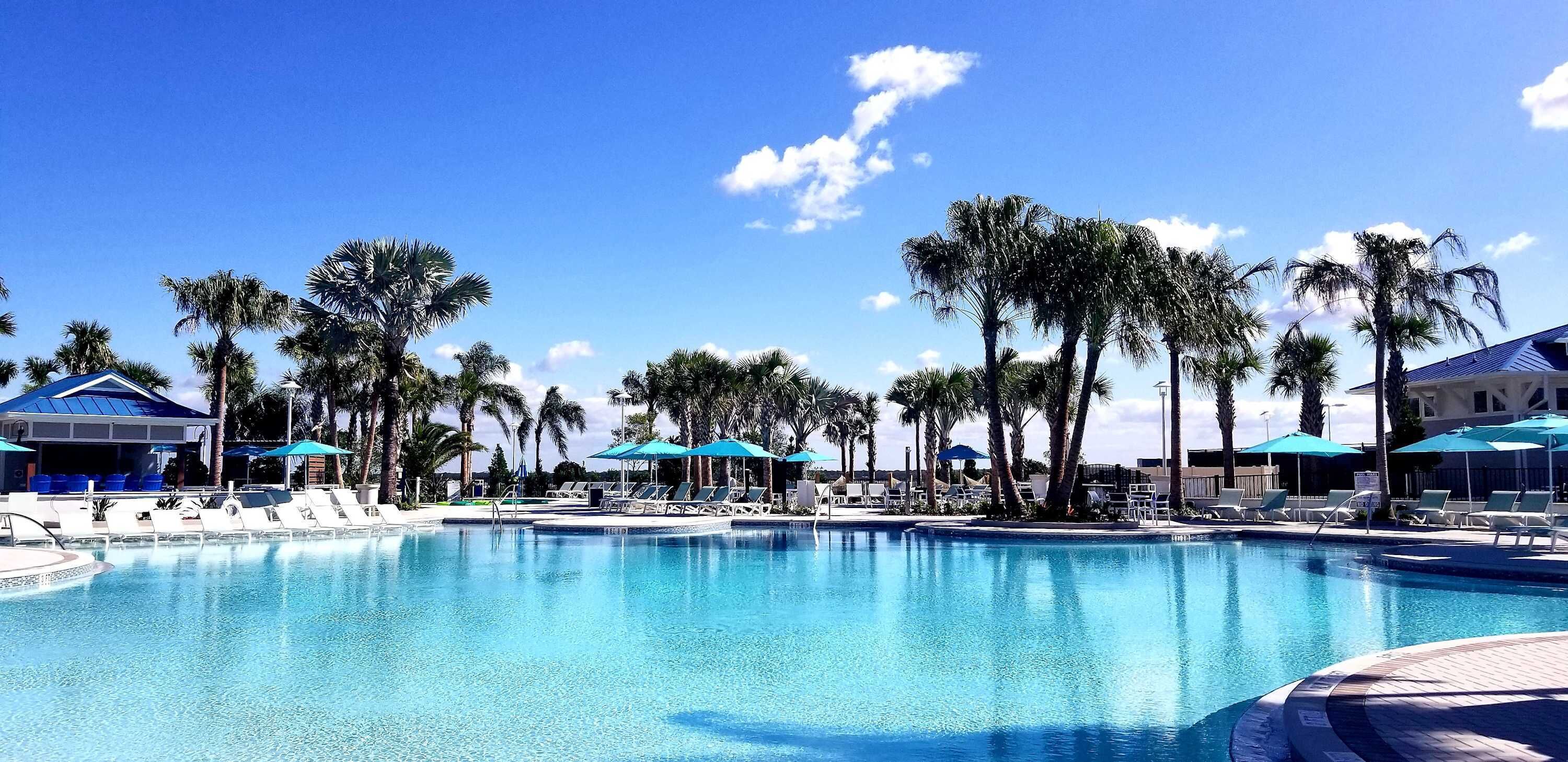 A large outdoor swimming pool surrounded by palm trees and lounge chairs.