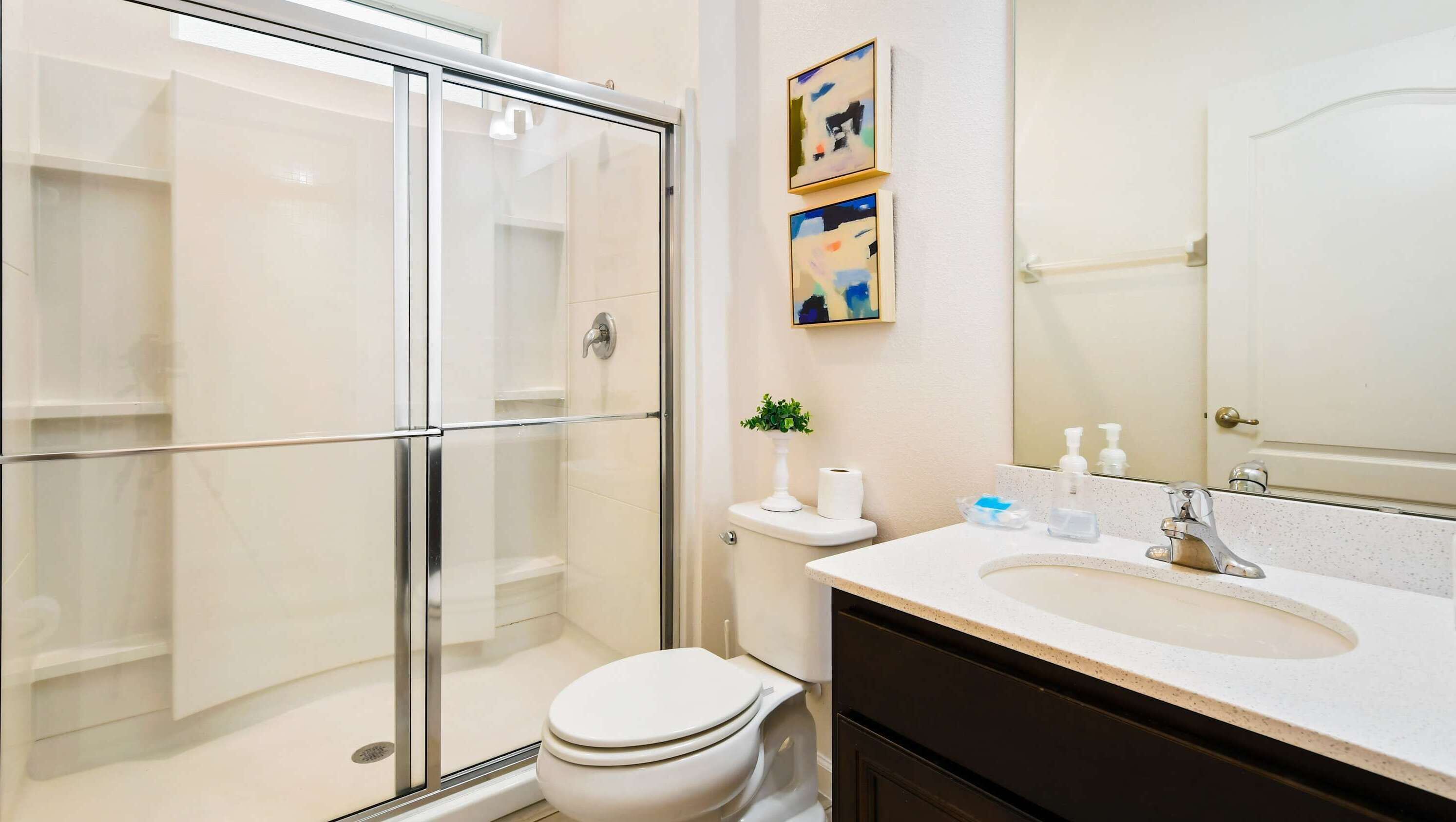 Baño con cabina de ducha de vidrio, inodoro, lavabo con espejo y una planta pequeña en la encimera.