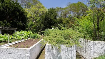 花園