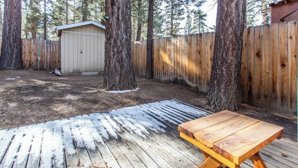 Exterior - Cub Paws  (Big Bear City)