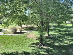 Property grounds - Indoor/Outdoor Pools, Hot Tub, Sauna, Walk In! Right behind Branson 76 Strip! (Branson)