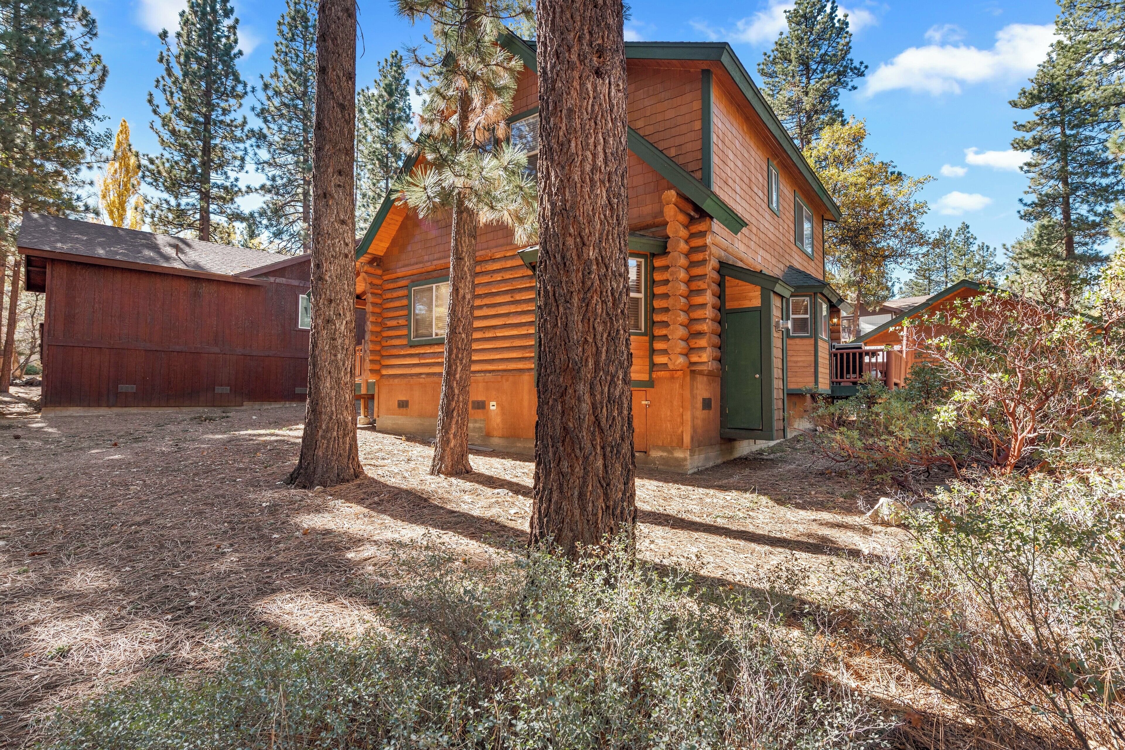 Une cabane en rondins avec une porte verte, entourée de grands arbres et sous un ciel dégagé.