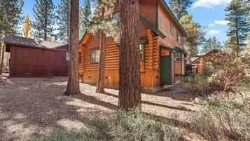 Une cabane en rondins avec une porte verte, entourée de grands arbres et sous un ciel dégagé.