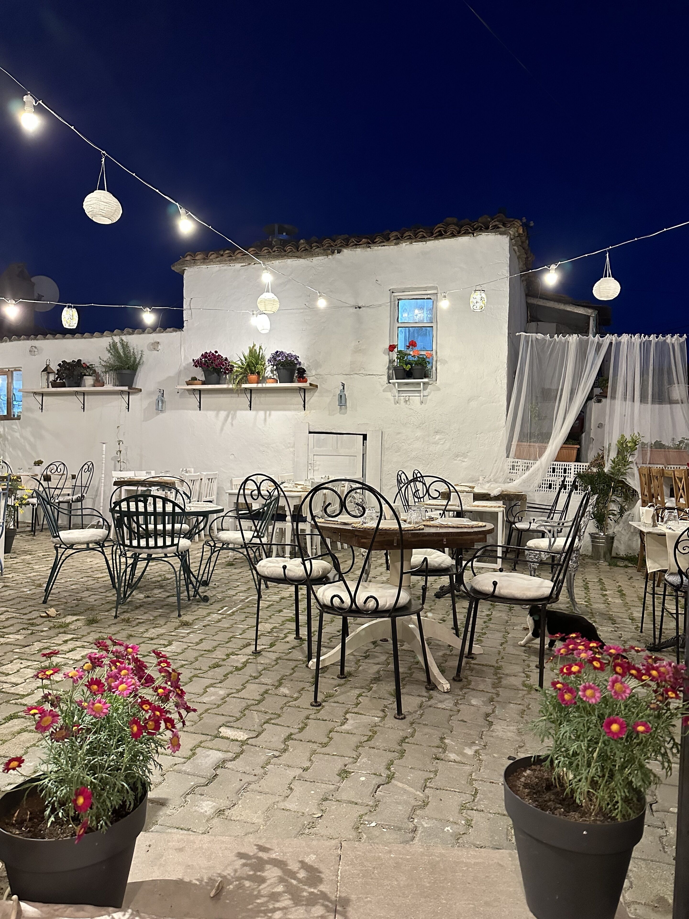 An outdoor patio area with tables and chairs, string lights, and potted plants.