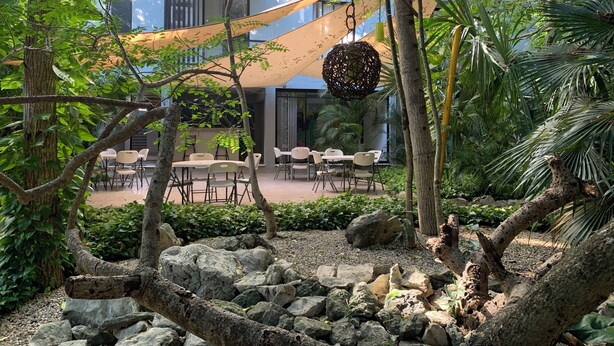 Un espace extérieur aménagé avec des tables et des chaises, entouré de rochers et d’arbres, avec un bâtiment visible au loin.