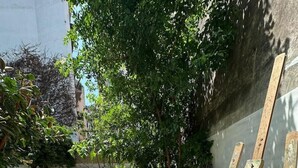 An outdoor area with a metal fence, a wooden easel with a framed artwork, and a garden with grass and trees. - Executive suite (Catania)