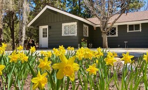 Exterior - Peaceful Pines Panorama (Big Bear Lake)