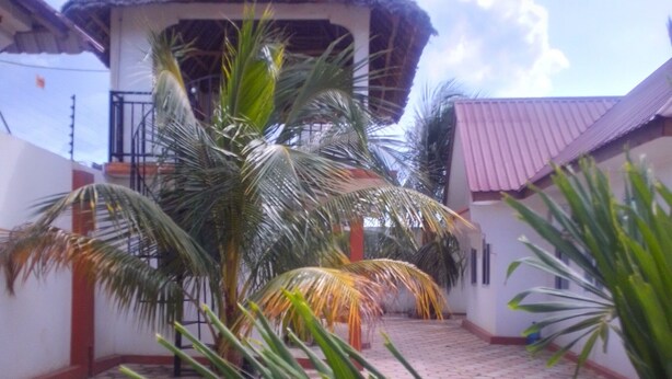Un edificio con techo de paja, rodeado de palmeras y un patio con baldosas.