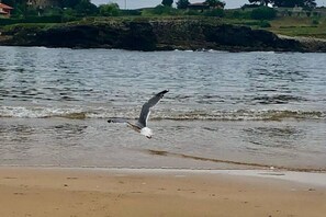 A seagull flying over a beach with water in the background.