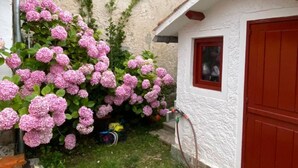 Ein weißes Gebäude mit roter Tür, einem kleinen Fenster und rosa Hortensienbüschen davor.