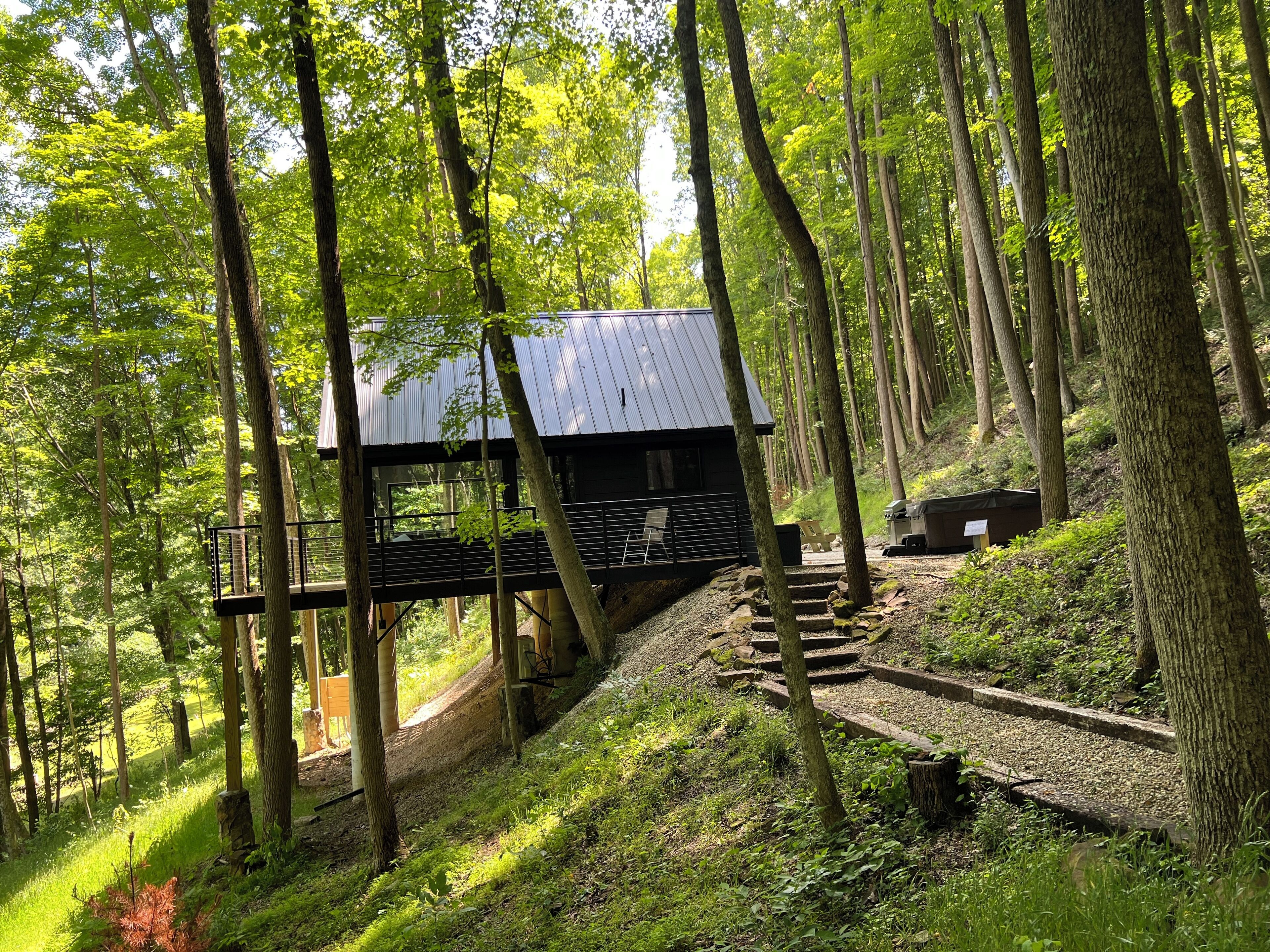 A wooden cabin with a metal roof, surrounded by tall trees and a gravel path leading to it.