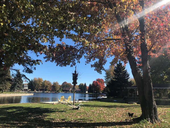 Property grounds - Waterfront cottage in Lagoon City resort at Lake Simcoe access to private beach (Brechin)