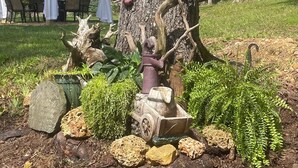 Een tuin met een houten constructie die op een vogelhuisje lijkt, omringd door rotsen en begroeiing.