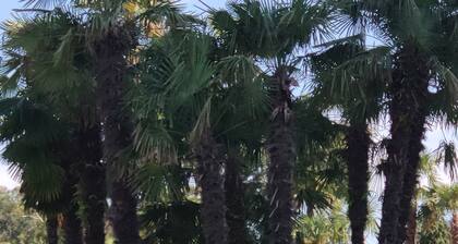 Оазис. Комплекс класса люкс.