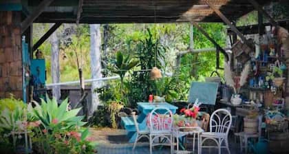 Ohana house Nature Retreat that is family and pet friendly.
